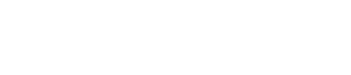 ديجيتسو